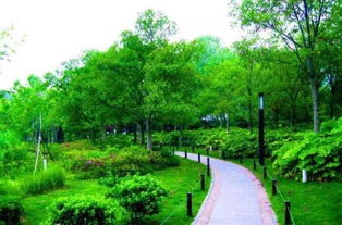 园林景观设计中，草坪搭配原则大揭秘！