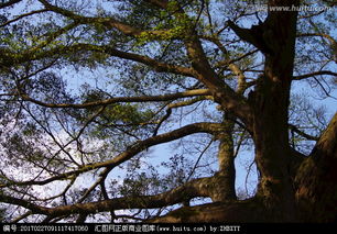 矫正过程中注意事项