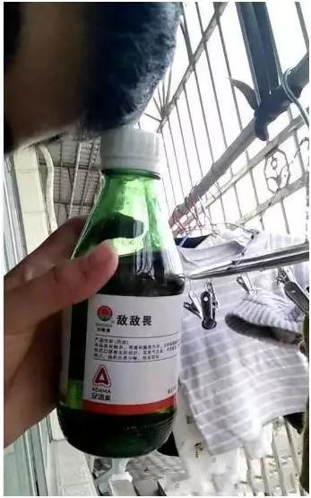 悲剧的夜晚， 农药的阴影