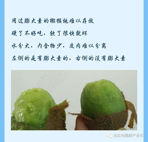 奇异果就是猕猴桃吗？猕猴桃的真相