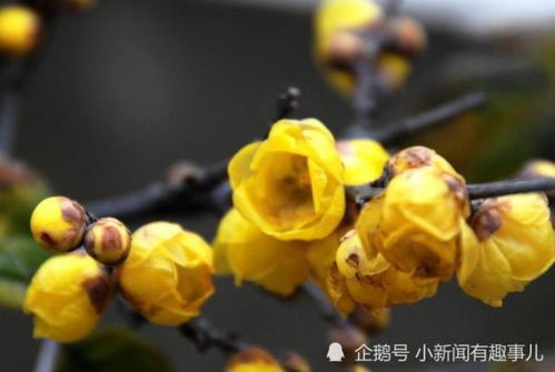 施肥方法要讲究