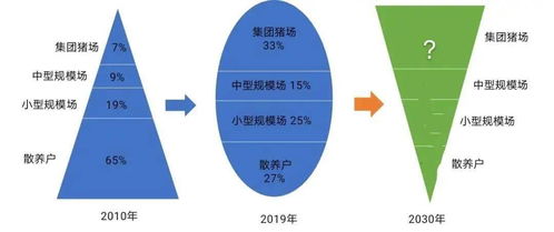 我国生猪养殖业发展趋势下未来养猪业生产概况将如何应对环保压力和市场需求变化？