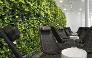 胭脂扣， 四季花开的美丽使者