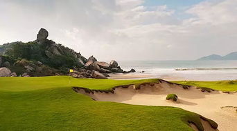 养护费够买辆宝马？真相来了