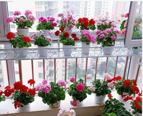 1. 小空间（＜1㎡）解决方案