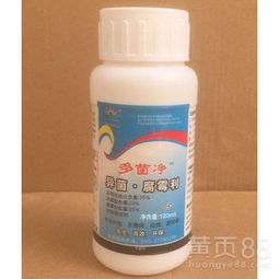 三唑酮：豆角灰霉病的克星