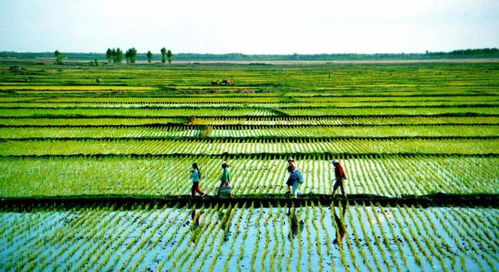三、忌药液浓度过高