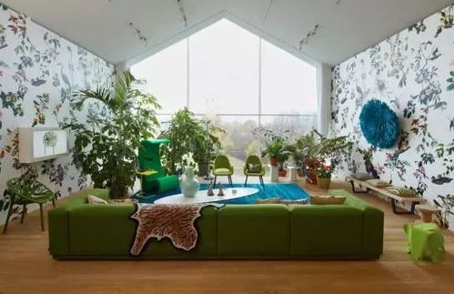 听说植物也Neng除甲醛，真的吗？