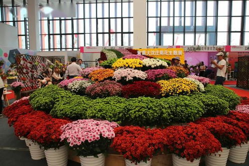 菏泽花木市场进货指南：揭秘哪家货源Zui丰富？