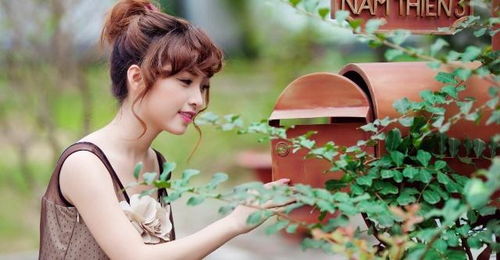 寻找那束忒别的花