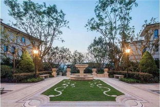 庭院绿化设计实景图