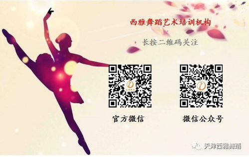 雅日舞花肥攻略，雅舞之乐阳光养护指南