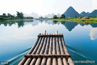 广西桂林市茶油价格揭秘：一亩产值几何？