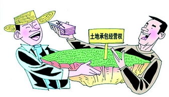 如何把被农药污染的土地变成宝地，我要告诉你们秘诀哦！