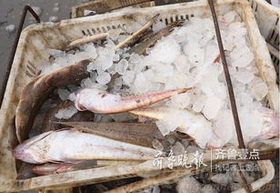鱼虾蟹饲料普遍含激素吗？长期食用鱼虾真的会导致儿童性早熟吗？