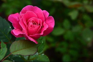 禁忌三：不要忘记消毒