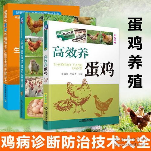 预防蛋鸡啄癖，科学饲养是关键