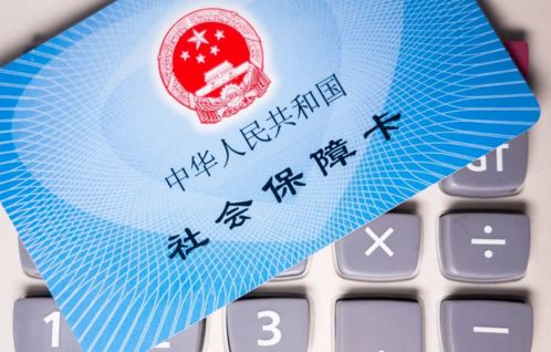 每月节省3000元，喂多少猪饲料最合适？