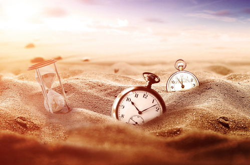 庭院打药的Zui佳时间揭秘：季节与天气的微妙关系