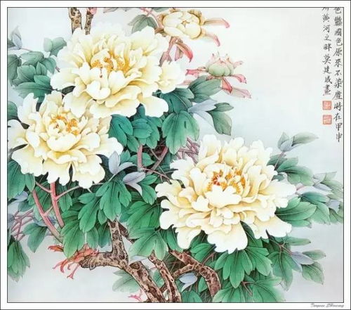 “丹心”何解？牡丹花中藏奥秘
