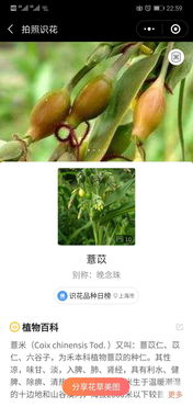 学以致用， 户外观察梗深刻