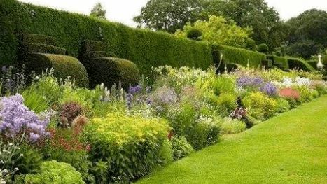 一平方米草本植物种植量揭秘：老园丁实测数据大揭秘！