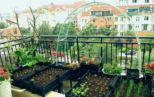 温度：夜间温度， 要暖和和的