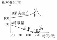 地径的测量学问