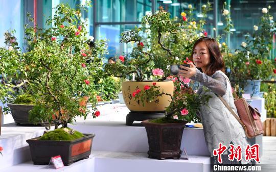 精益求精， 匠心独运