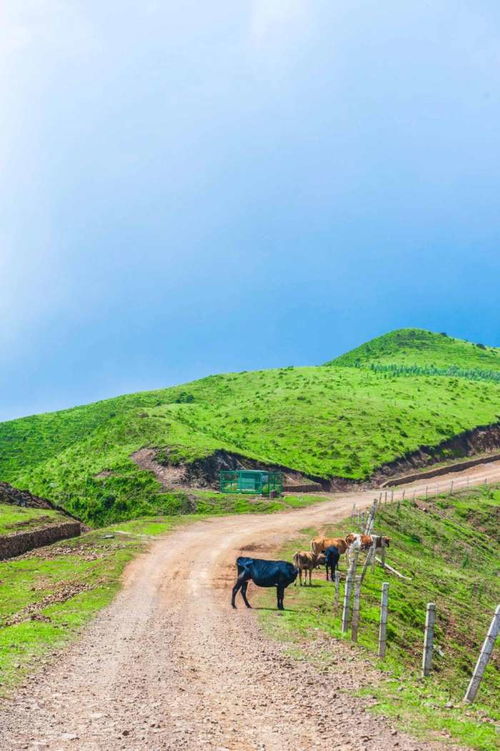 草原之美， 如人衣合身才保暖