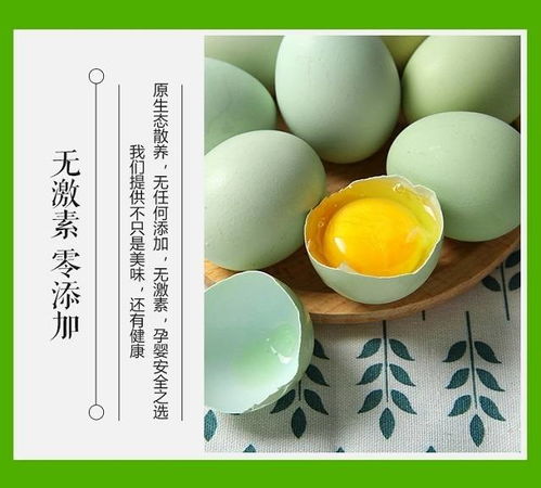 绿壳鸡蛋与土鸡蛋有何区别？绿壳蛋源自特定品种鸡