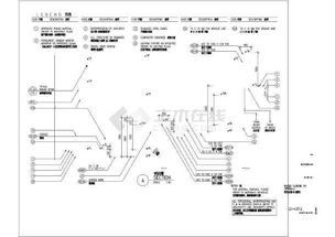 相互依存，共同成长