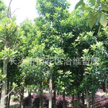 还是找朋友帮忙吧