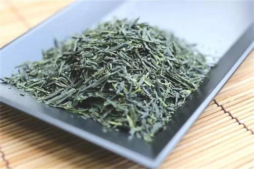 玉露茶，如何打造高品质茶园