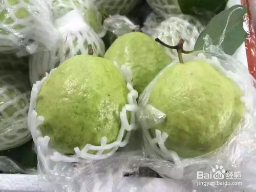 自制番石榴汁，以新鲜番石榴为原料