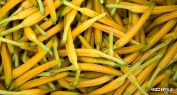 黄花菜种植的盈利前景如何？市场需求稳定吗