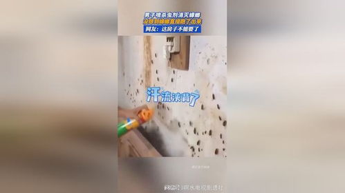 使用杀虫剂杀死蟑螂的时间取决于多种因素