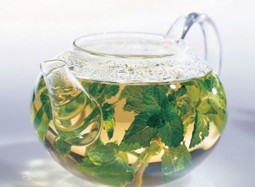 3. 薄荷——清新口气， 消炎止痛