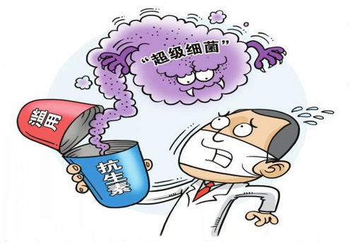 猪场用药需谨慎，滥用解热药风险高