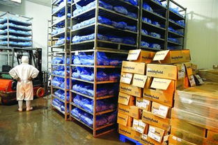 饲料厂使用过期原料合法吗？我可以举报这种行为吗？