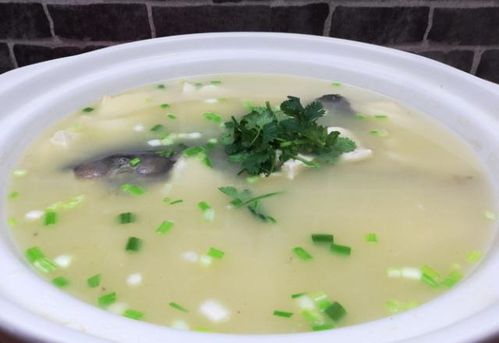 鳙鱼炖豆腐，一道家常菜