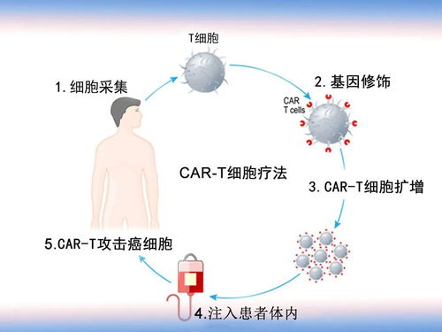 “
剂量免疫法有效吗？警惕误区