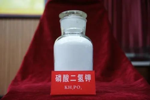 丙环唑的控旺期长短揭秘