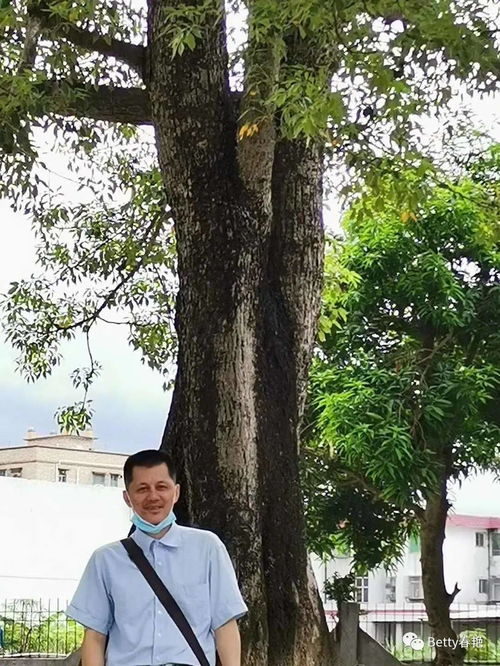 大自然的无限与探索的心