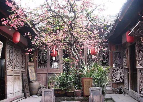 二、海棠：花开富贵，寓意美好