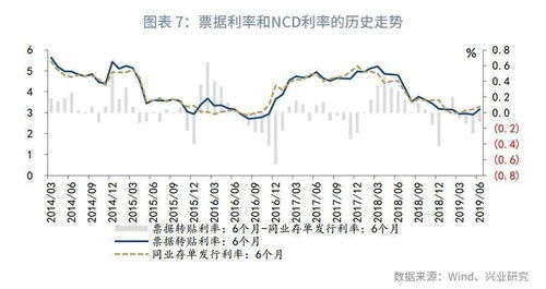 蓖麻子价格大揭秘：一斤多少钱，产地、季节又如何影响？