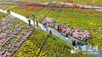 沭阳县：花木之乡的绿色奇迹