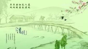清明时节，草色青青：揭秘清明草的生长奥秘及分布地