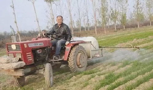 试验后来啊告诉你什么