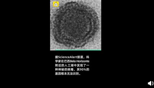 Ct是病毒复制时间，养猪业需关注病毒复制速度